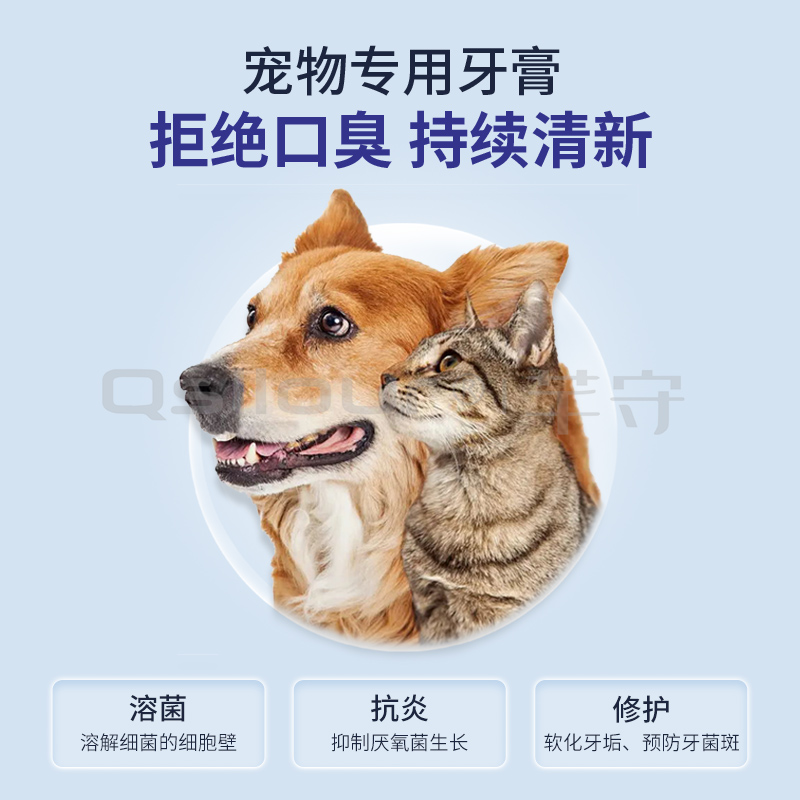 维克猫牙膏套装牙齿清洁用品宠物牙结石猫咪狗狗牙刷猫刷牙除口臭 - 图3