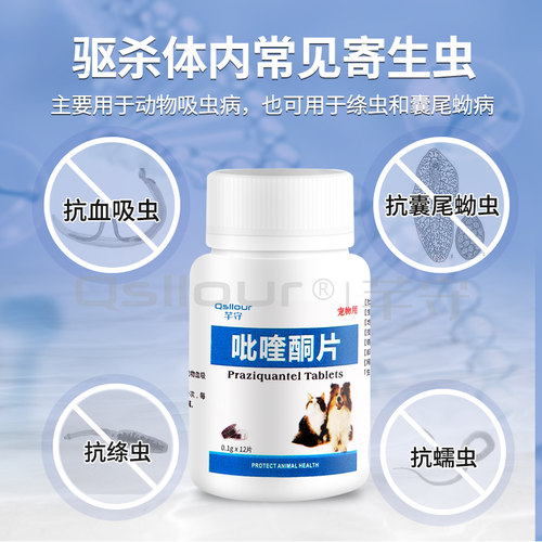 吡喹酮片宠物猫狗犬猫咪体内驱血吸虫绦虫囊尾蚴病泰迪驱虫药柯基 - 图1