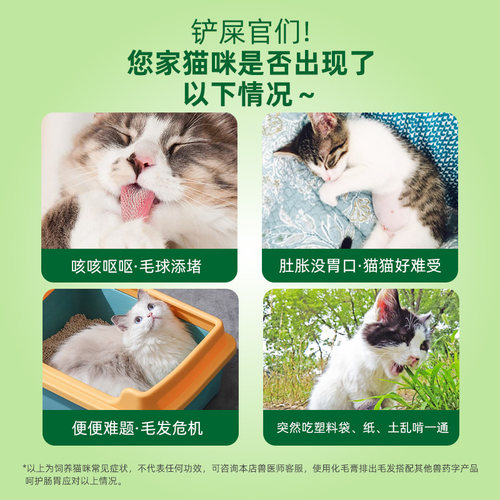 化毛膏猫咪专用营养膏狗狗猫用宠物成幼猫吐毛去毛美毛用品化毛球 - 图0