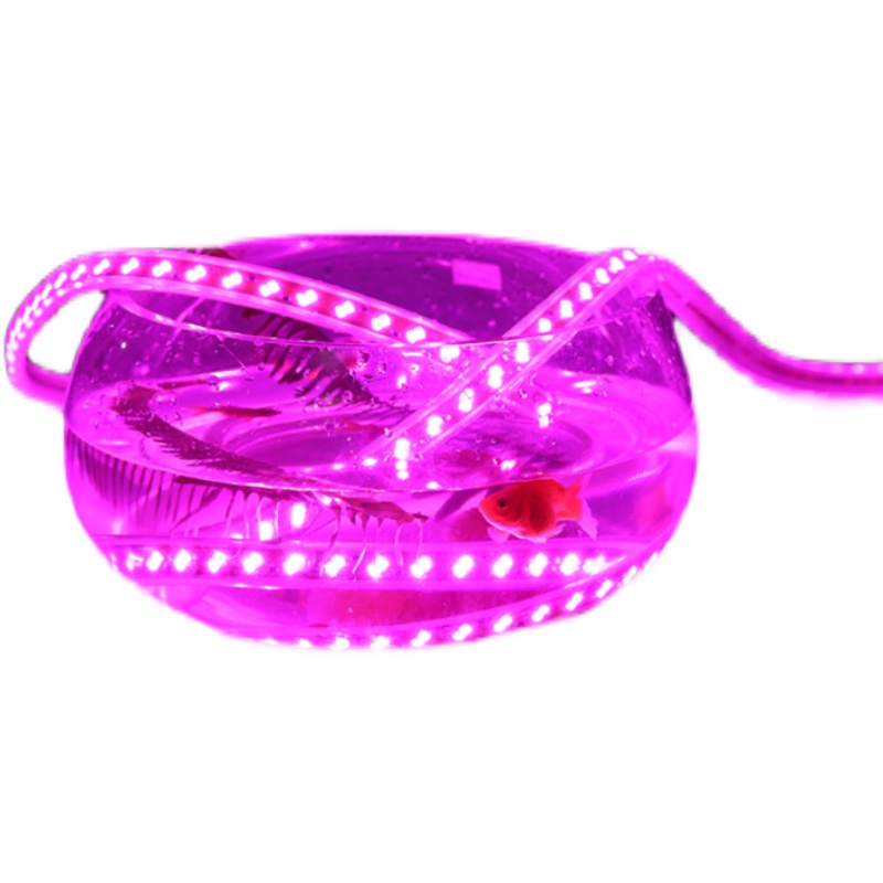 紫色led灯带紫光粉色灯带家用220v装饰浪漫创意超亮户外防水长条 - 图3