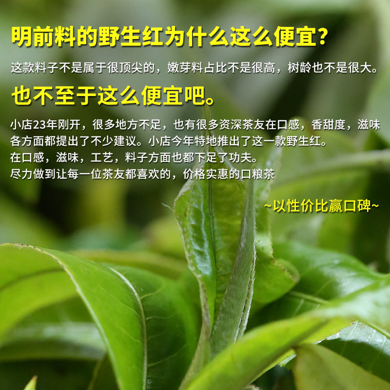 2025头春新茶正宗云南凤庆荒野生古树日晒滇红茶叶花果蜜香自己喝