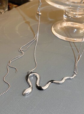 蛇形流苏多层项链网红ins小众冷淡风潮流锁骨链独特设计感项饰女