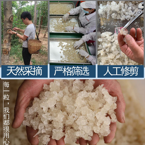 250g云南雪燕旗舰店野生官方正品天然特级商用拉丝植物素燕窝血燕-图0