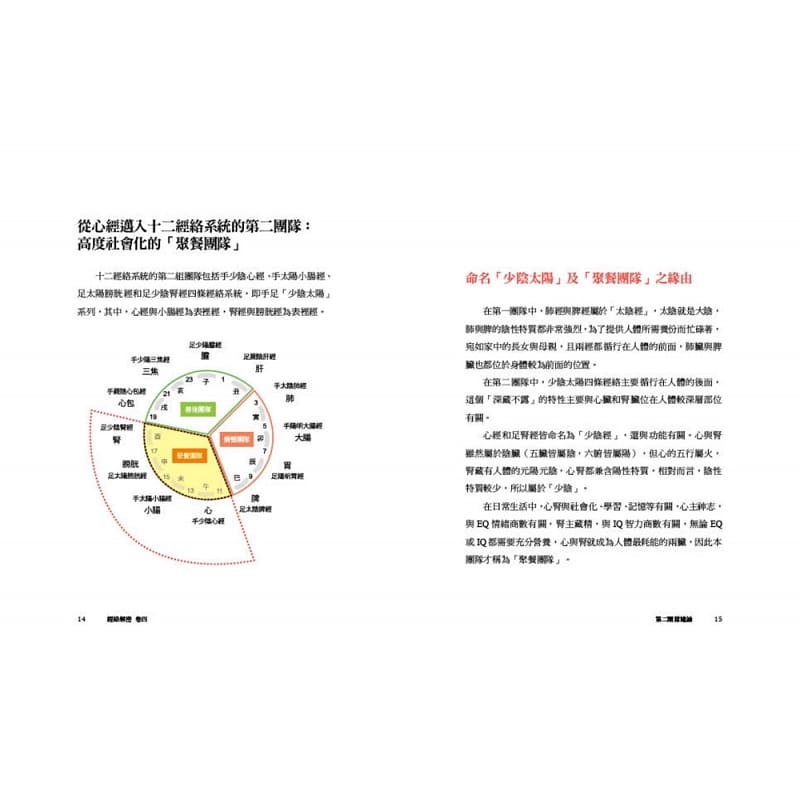 现货沈邑颖经络解密卷四维系身心平衡运行的君主之官心经大块文化原版进口书医疗保健-图0