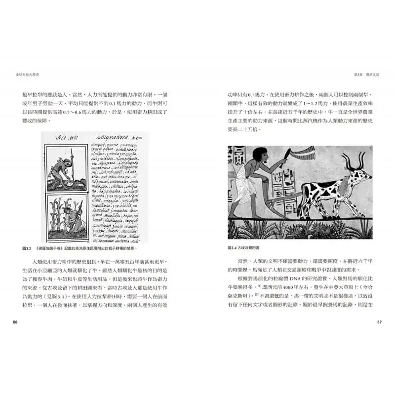 预售 吴军全球科技大历史解读人类伟大进步的黑盒子 指出wei来科技演化方向漫游者文化 原版进口书 社会科学