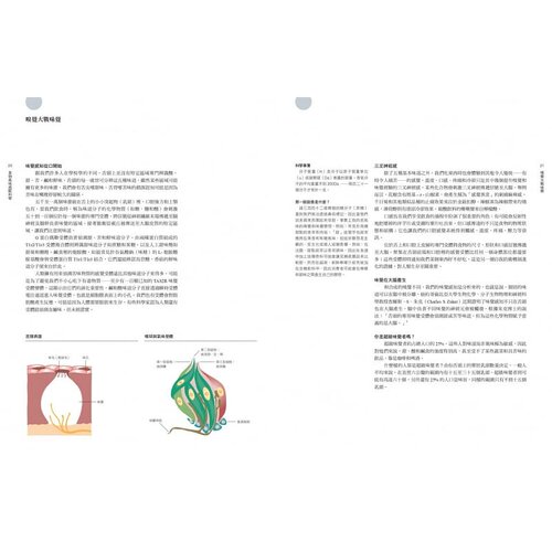在途 食物风味搭配科学：3000种食材 270个食材风味轮 700个搭配表格 一万种究极风味组合 彼得库奎特 原版进口书 饮食 采实文化 - 图0