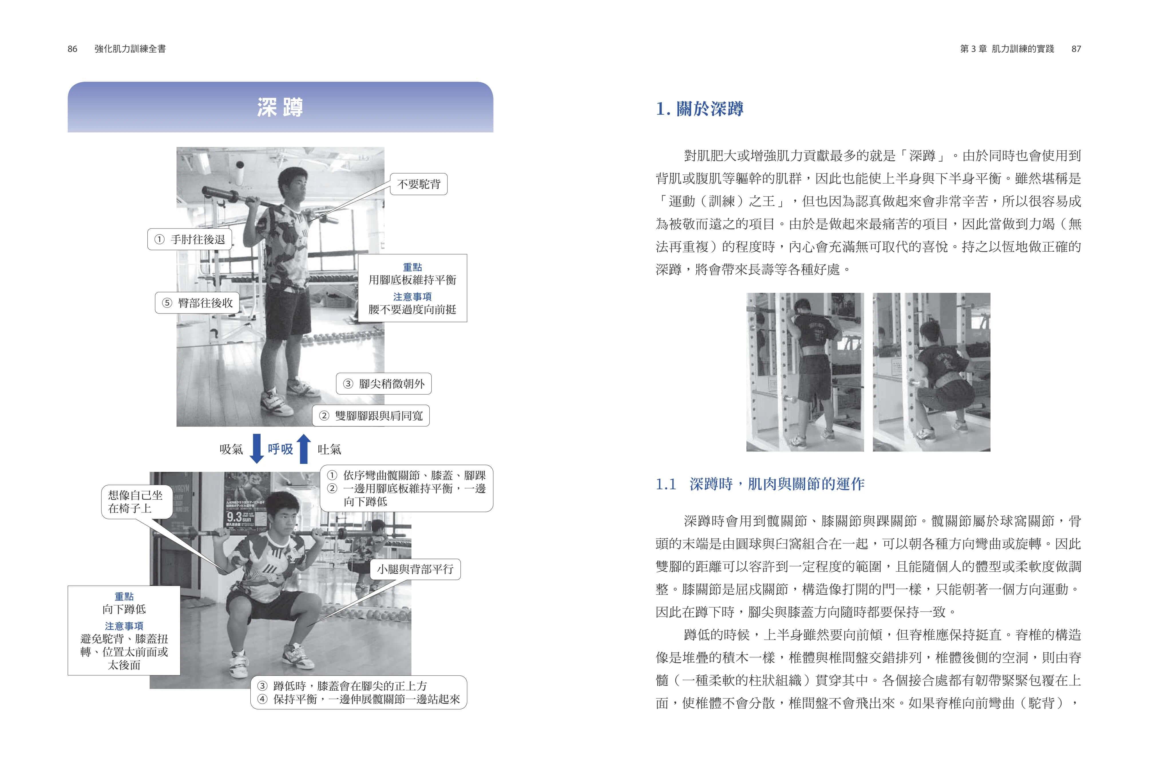 现货 强化肌力训练全书：东大肌力学教授、骨科医师及福冈软银鹰教练，写给训练者的科学化锻炼指南 联经出版公司 石井直方 - 图3