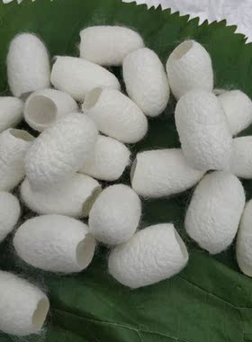 泡水泡茶容喝茧壳邮药球入包不伤蚕枚角肤马米去的左手痛洗脸指套