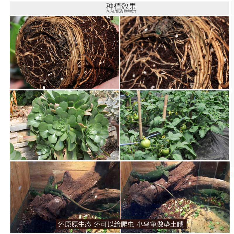 特价进口阳台种菜椰砖椰壳花卉种植土多肉植物椰糠椰土盆栽营养土-图2