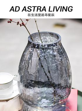AD·ASTRA·冰裂纹玻璃花瓶