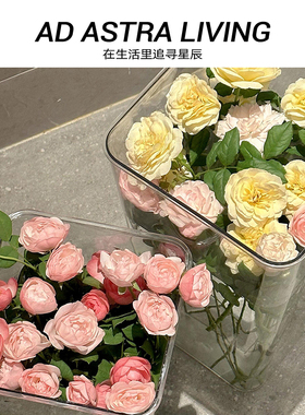 AD·ASTRA透明亚克力醒花桶家用