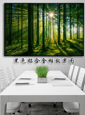 树林风景贴画简约客厅卧室挂画自然山水阳光树木绿色护眼海报墙贴