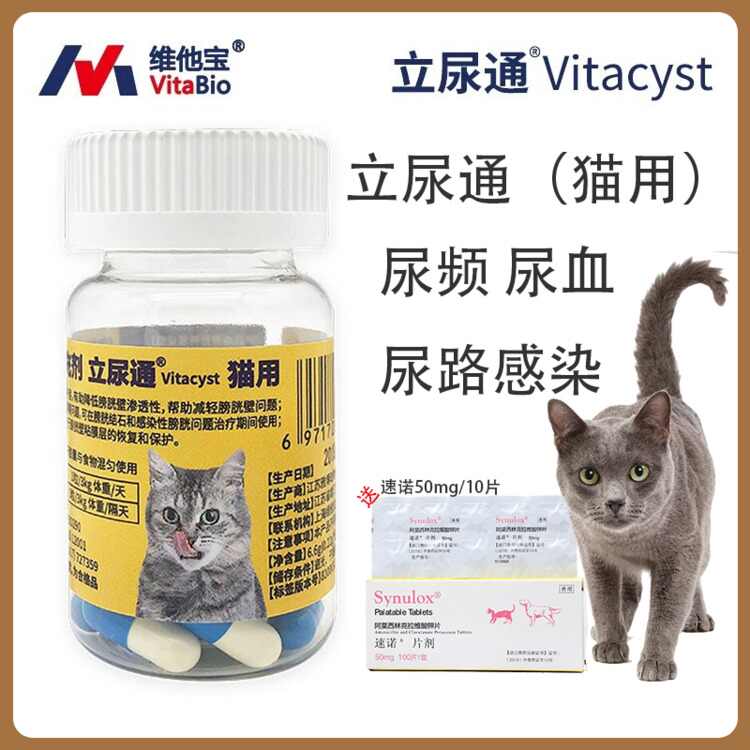 猫血尿-新人首单立减十元-2021年10月淘宝海外