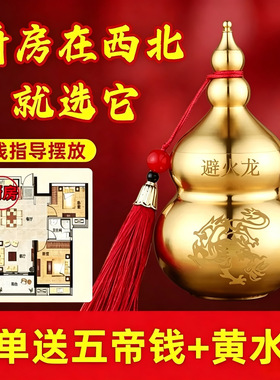 黄铜避火龙瓶子葫芦厨房在西北角乾位火烧天门纳财摆件化解泻火龙