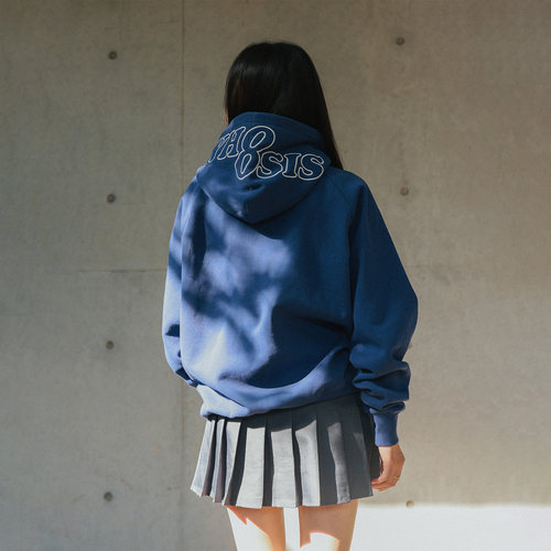 WHOOSIS（不知其名）刺绣logo帽衫秋冬情侣连帽卫衣简约百搭男女 - 图0