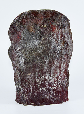 大号把玩件摆件饰品礼品昆虫