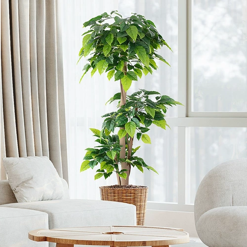 Счастливое моделирование деревьев растения Fortune Tree Living Room