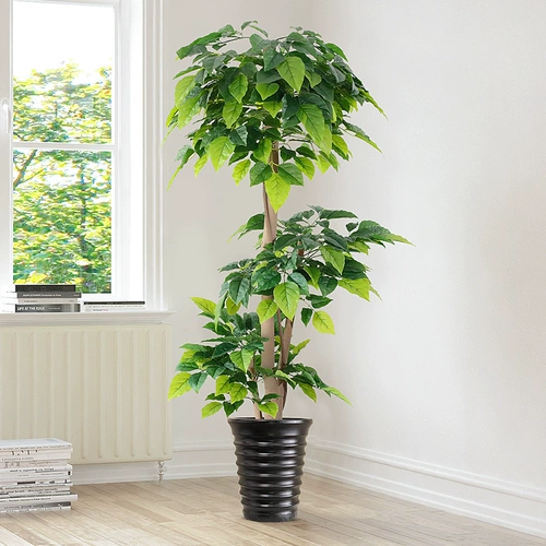 Счастливое моделирование деревьев растения Fortune Tree Living Room