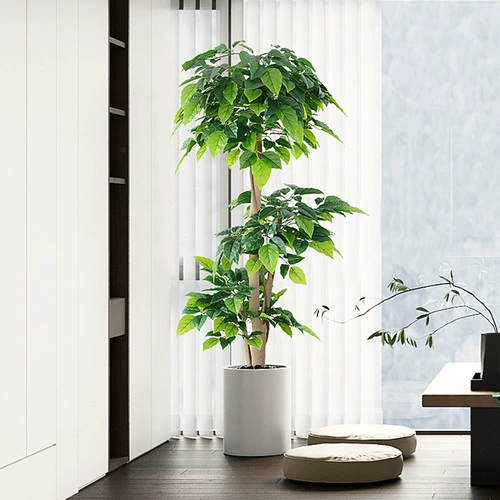 Счастливое моделирование деревьев растения Fortune Tree Living Room