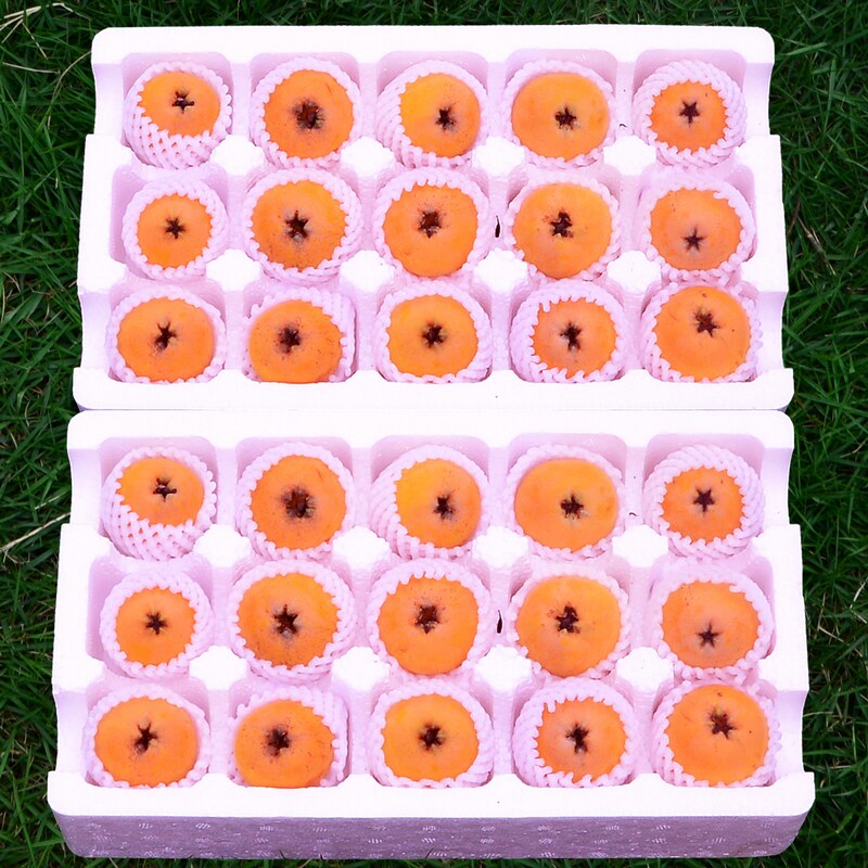 四川攀枝花米易枇杷新鲜甜琵琶果3斤装5当季孕妇水果包邮大果整箱