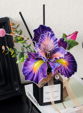 ZXZ展香枝花艺香薰鸢尾仿真花30