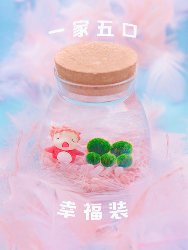 球藻君MARIMO天然水晶海藻球「矿石原力」微景观高端生态瓶礼物 - 图2