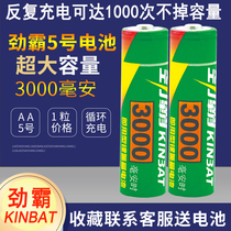 Surge Bully 5 Rechargeable Battery 1 2V Battery 3000mAh Wireless Mic Microphone mouse Shaver Battery