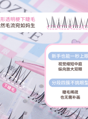 好价~新款花洛免胶假睫毛！
