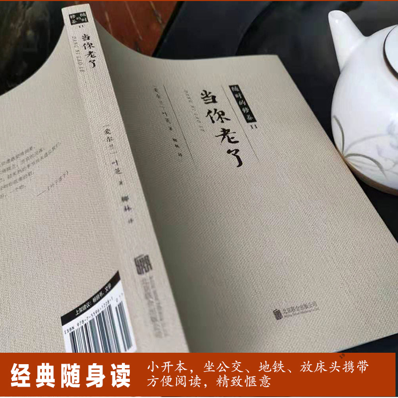 【8.8专区】 当你老了叶芝威廉巴特勒爱情诗选浪漫主义经典 献给女神的100首炽热诗篇 西方诗歌经典作品叶芝诗集籍当代文学小说 - 图1