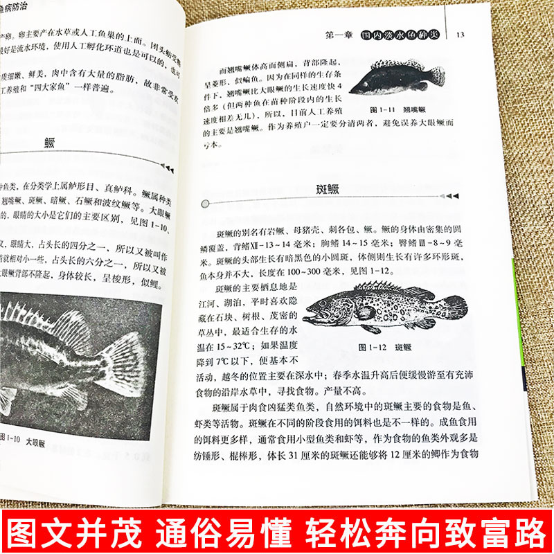 正版淡水鱼与鱼病防治生态养鱼技术教程鱼病快速鉴别诊断与治疗全书科学饲养鱼书籍技术大全娃娃鱼淡水鱼类水产养殖饲料配方ds