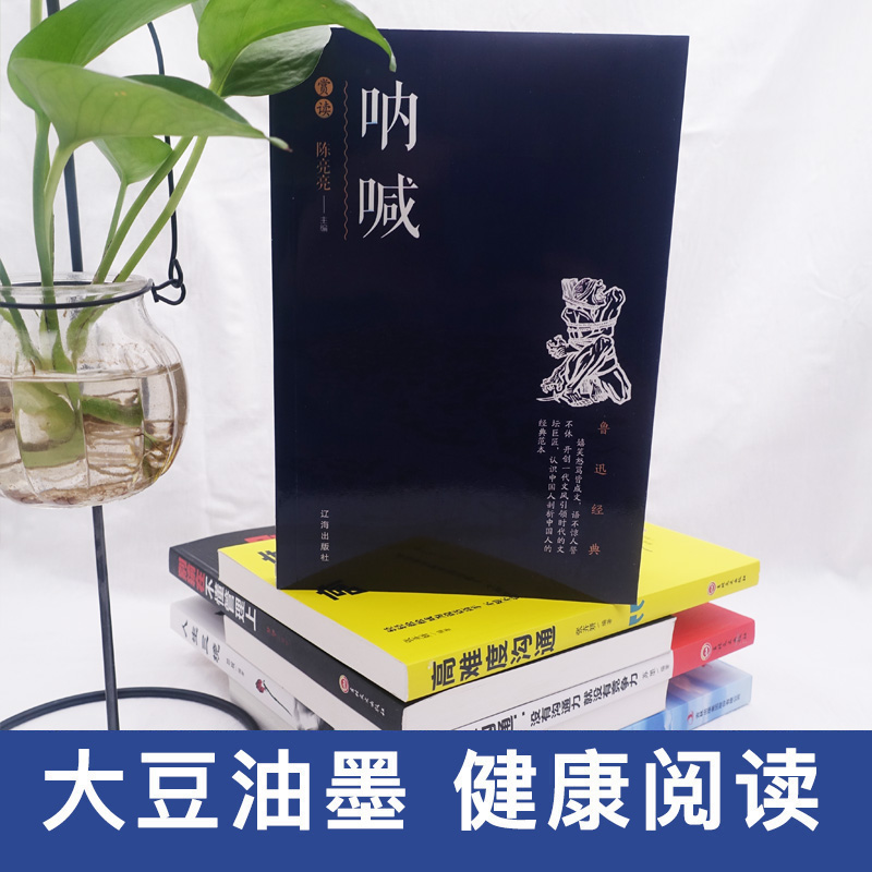 呐喊 鲁迅小说作品集 正版学生课外阅读经典文学现当代文学小说 现代经典散文小说 课外书读物 狂人日记孔乙己  725 - 图0