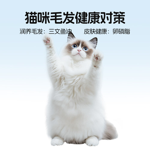 醇粹FD猫粮1.2kg全价成猫幼猫旗舰店官方三文鱼冻干十大品牌CFD3 - 图2