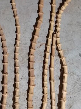 特粗异形竹鞭竹根原材料异形天然竹径直径1.0-2.5CM长40-90CM DIY