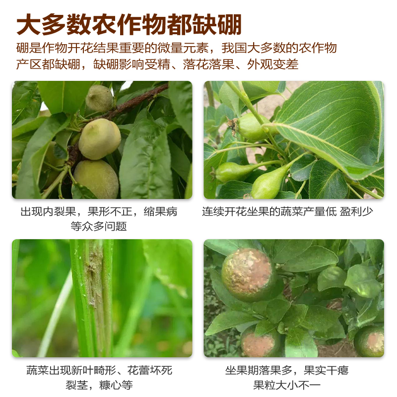 流体硼 硼肥 液体硼 水溶硼肥糖醇硼果树肥蔬菜花果微量元素肥料 - 图0