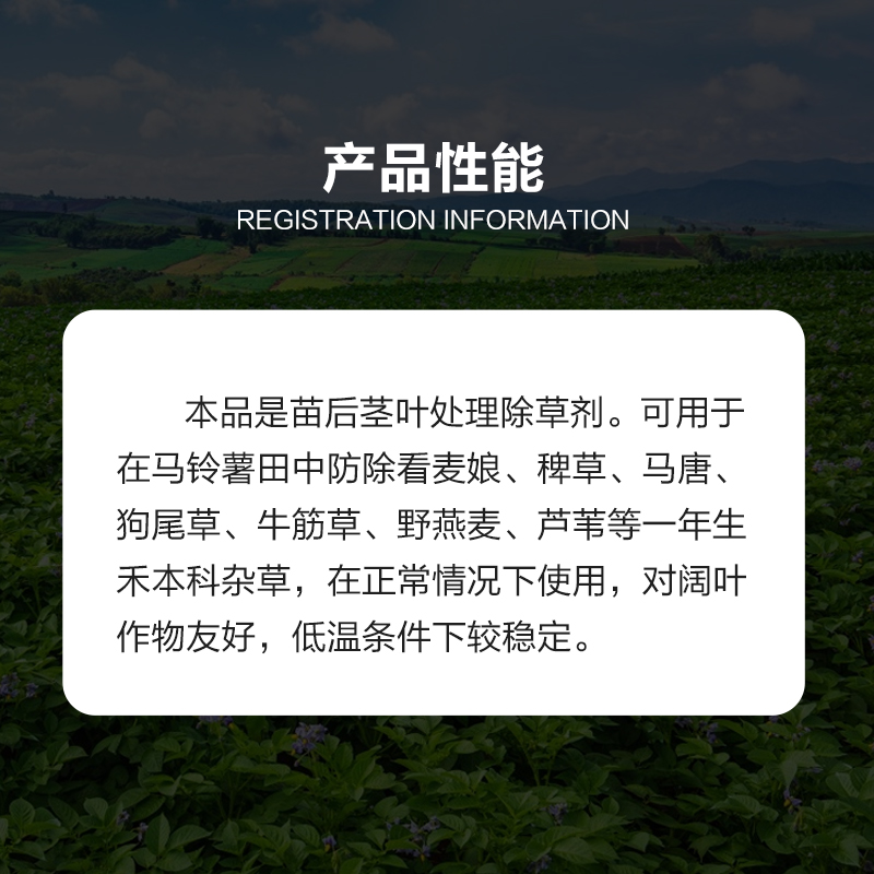 瑞邦高盖28%高效氟吡甲禾灵马铃薯土豆田一年生禾本科杂草除草剂 - 图1