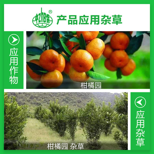 金帆达757草甘膦铵盐草甘磷荒地除杂草烂根除草剂50克*160袋整箱-图1