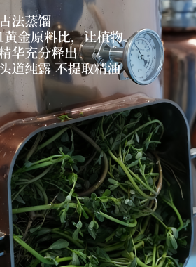 高浓度马齿苋纯露水湿敷舒缓修复