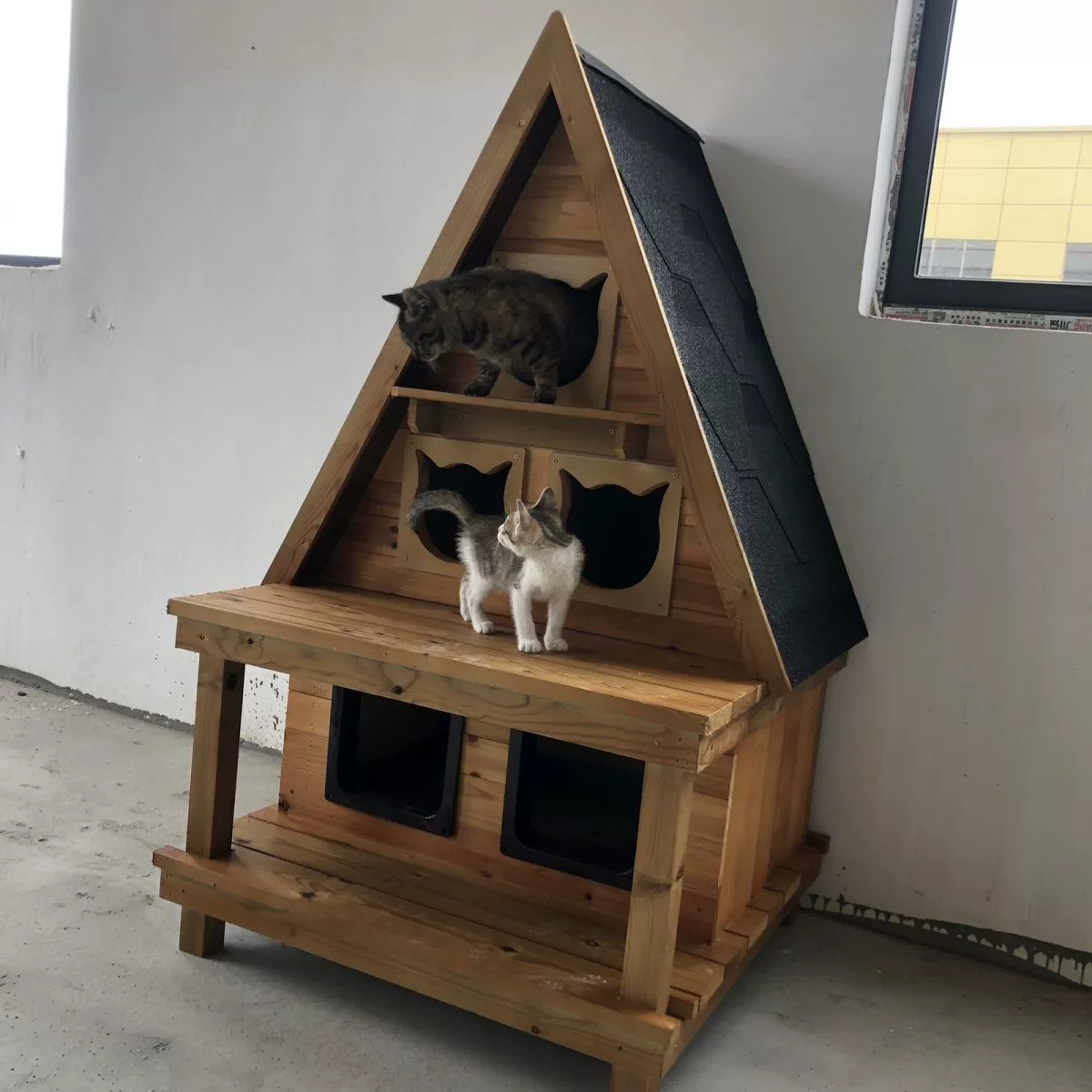 夏天防晒实木质宠物窝室内家用室外户外猫窝猫笼子猫别墅猫咪网红,淘宝优惠券,粉丝福利购,淘宝优惠卷