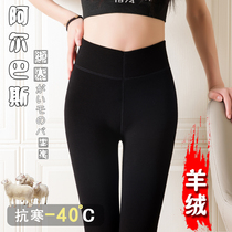 Japanese cashmere integrated cotton pants female outside wearing autumn and winter beating underpants high waist display slim and thickened northeast warm pants