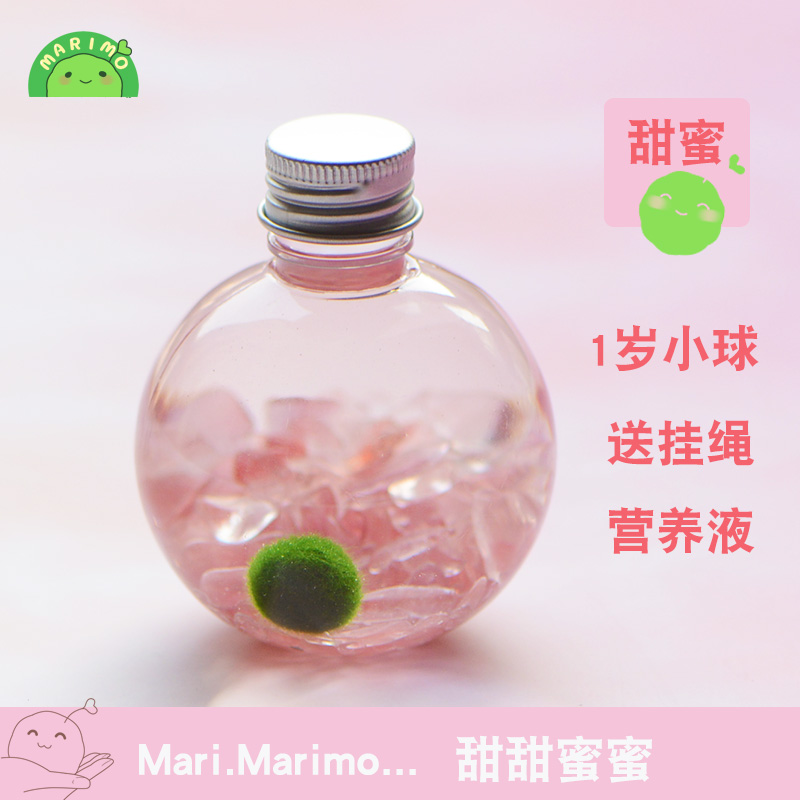 包邮幸福海藻球marimo球藻DIY水培微景观生态瓶创意桌面迷你植物-图0