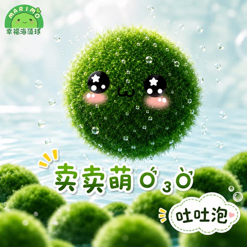 幸福海藻球marimo生态瓶盆栽创意迷你水培植物微景观缸藻球马里莫 - 图0