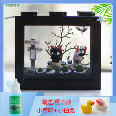 Водоросли мяч 幸福海藻球marimo水培微景观生态瓶鱼缸创意桌面迷你植物diy礼物 Happy paradise