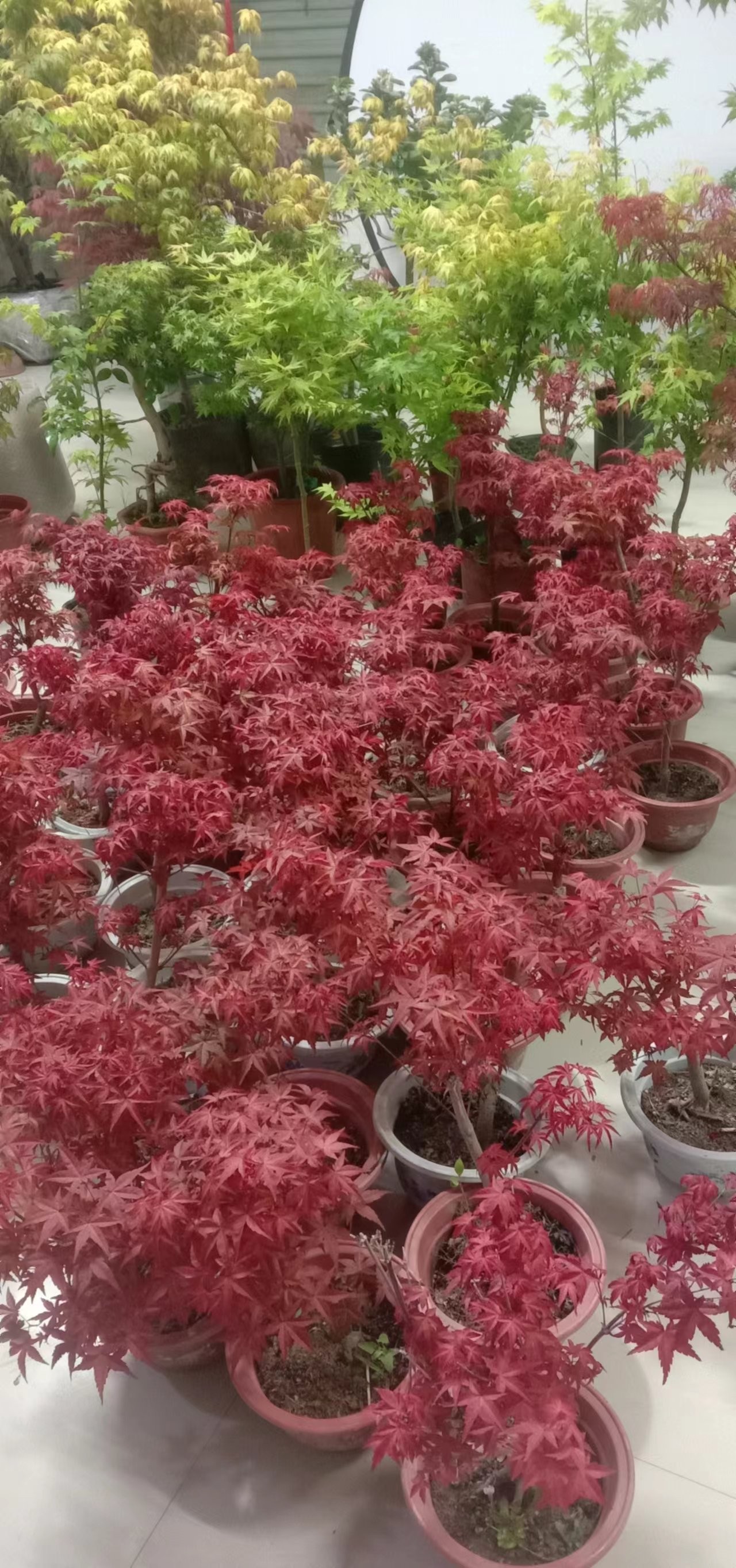 直播间    一物一拍链接   不喜欢慎拍,淘宝优惠券,粉丝福利购,淘宝优惠卷