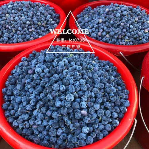 25 лет новых продуктов Daxinganling Wild Blueberry Fruit 500G Persimmon Fruit без дополнений. Варить варенье и сделать сок. Бесплатная доставка