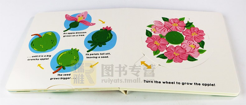 我的小世界 成长 My Little World Watch Me Grow 英文原版 自然科普绘本纸板书 翻翻书 Roger Priddy Books 进口原版英语书籍 - 图0