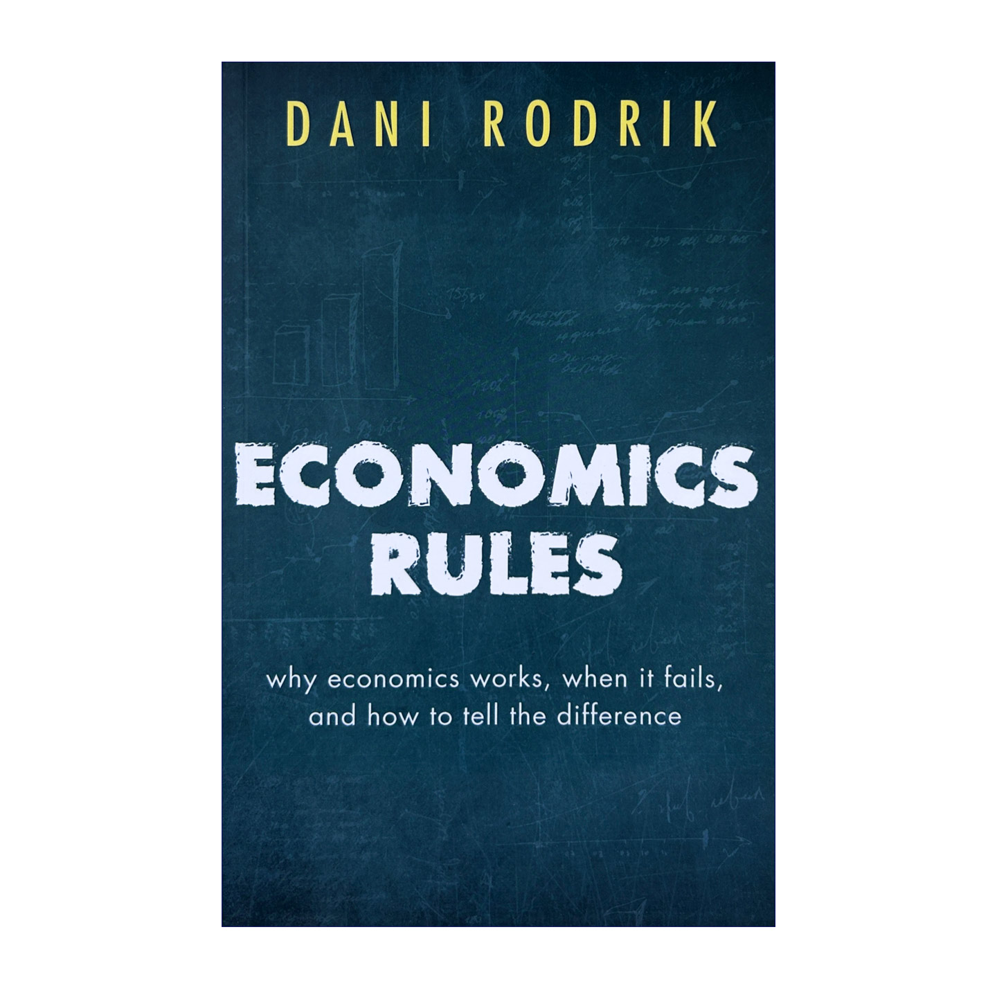 经济规则 经济学为何会起效 何时失去作用 任何区分 英文原版 Economics Rules 英文版 Dani Rodrik 进口英语原版书籍