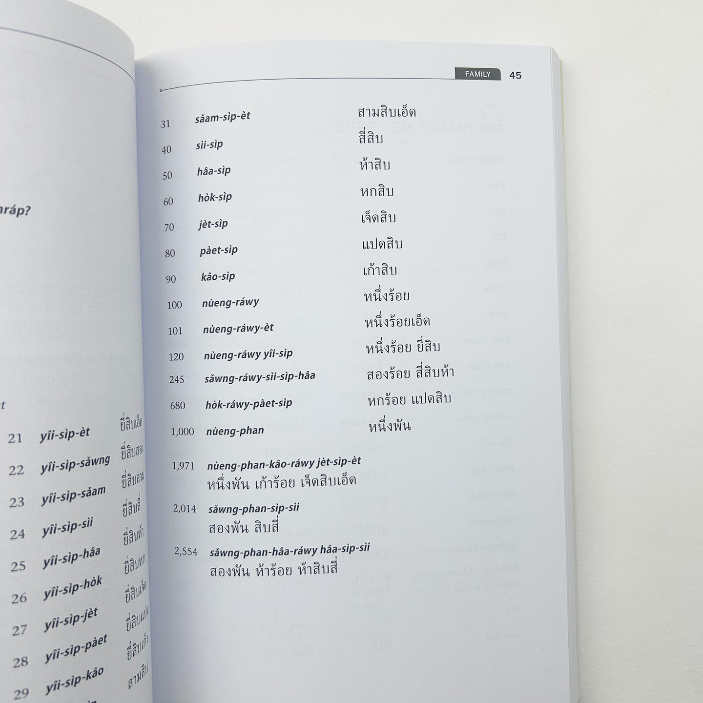 轻松泰语 一套完整的语言课程和袖珍词典 英文原版Easy Thai A Complete Language Course and Pocket Dictionary字典辞典英语书籍