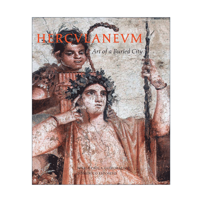 英文原版 Herculaneum 意大利古城赫库兰尼姆 被掩埋城市的艺术  精装 英文版 进口英语原版书籍 - 图0