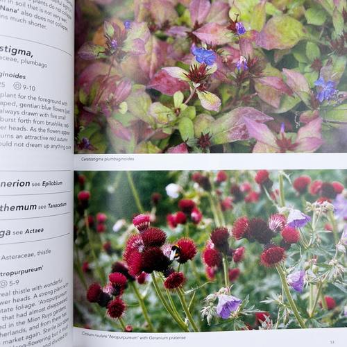 英文原版 Planting the Natural Garden 种植自然花园 自然景观设计 精装 英文版 Piet Oudolf 进口英语原版书籍 - 图2