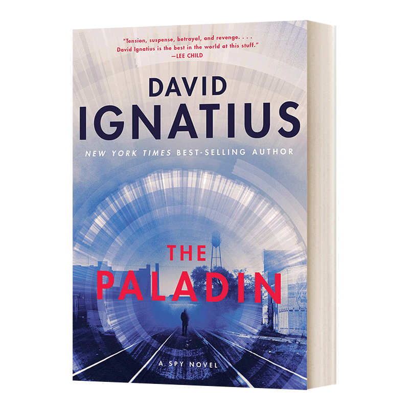 孤胆勇士 The Paladin 特工小说 2020年金融时报惊悚小说 David Ignatius - 图0